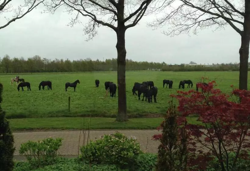 B&b Gaasterland