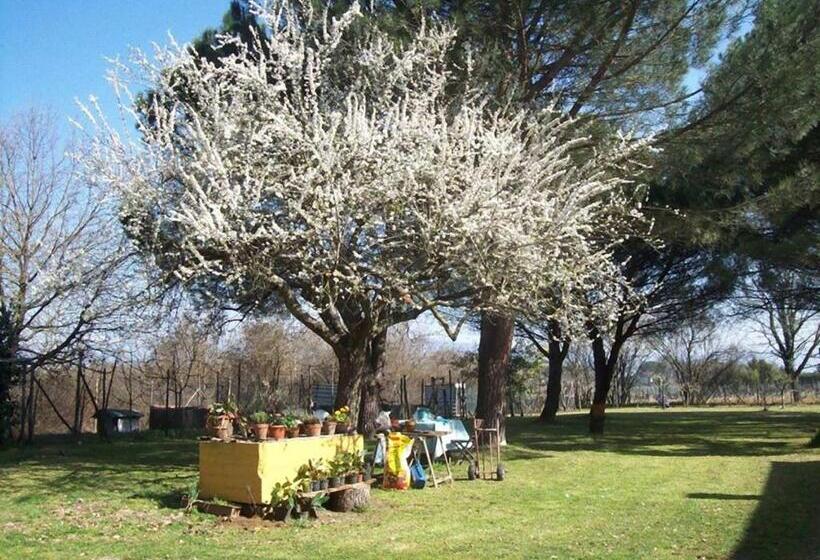 تختخواب و صبحانه Campo Alle Monache