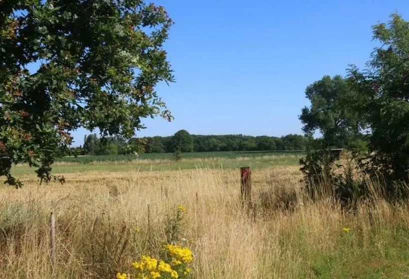 Aamiaismajoitus (B&B) Gastenlogies Blauwe Schaap