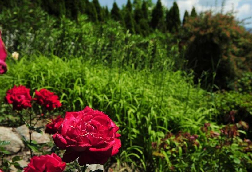 تختخواب و صبحانه Haus Rosengarten