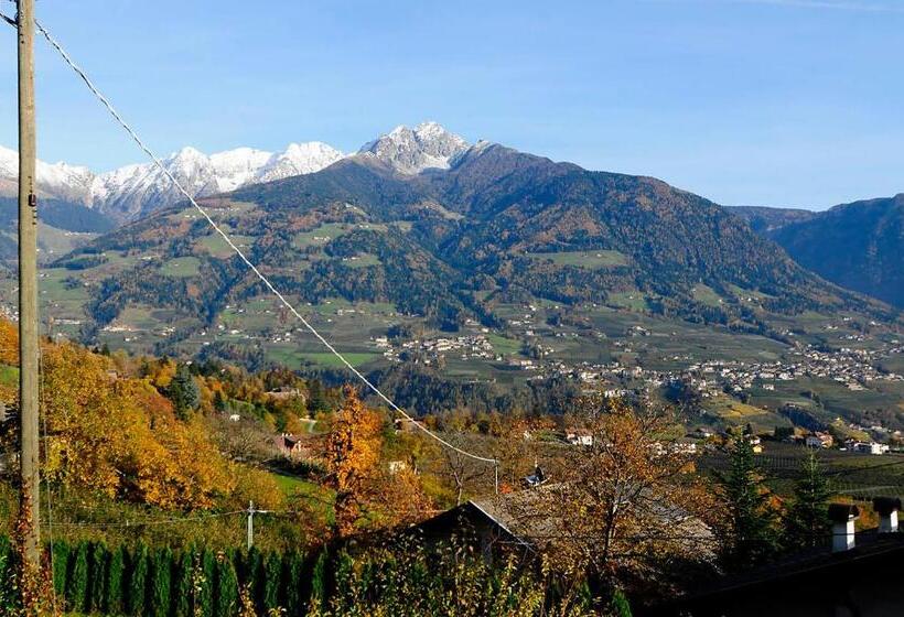 تختخواب و صبحانه Haus Rosengarten