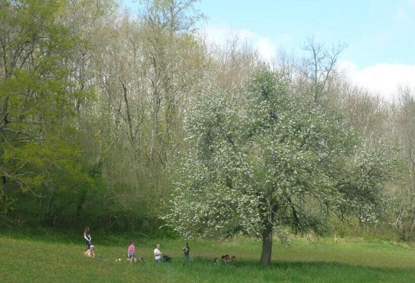 مبيت وإفطار Sûn Chambres D Hôtes