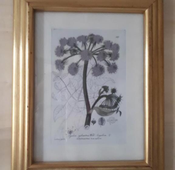 مبيت وإفطار Sûn Chambres D Hôtes