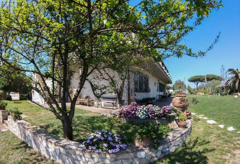 בית מלון כפרי Villa Enli