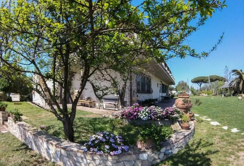 ホテル Villa Enli