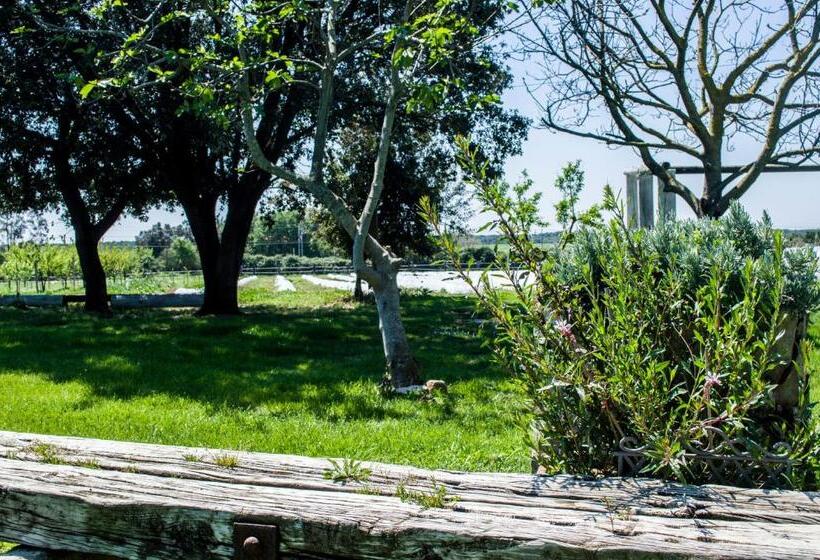 בית מלון כפרי Villa Enli