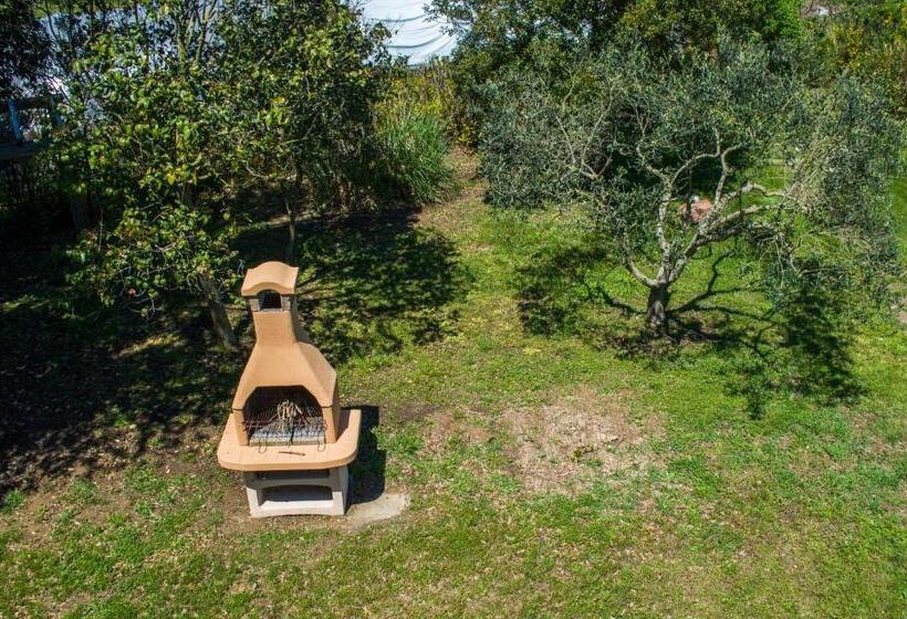 בית מלון כפרי Villa Enli