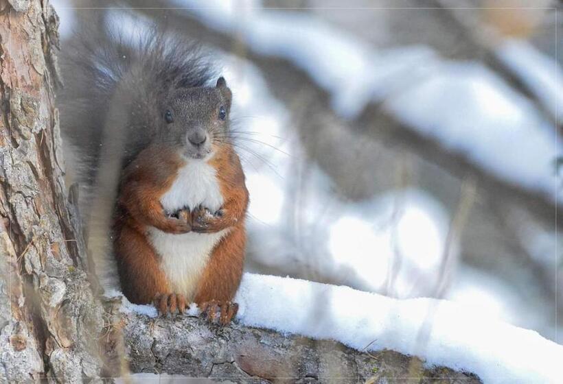 پانسیون Canton 520 Camera Matrimoniale E Appartamento Self Check In