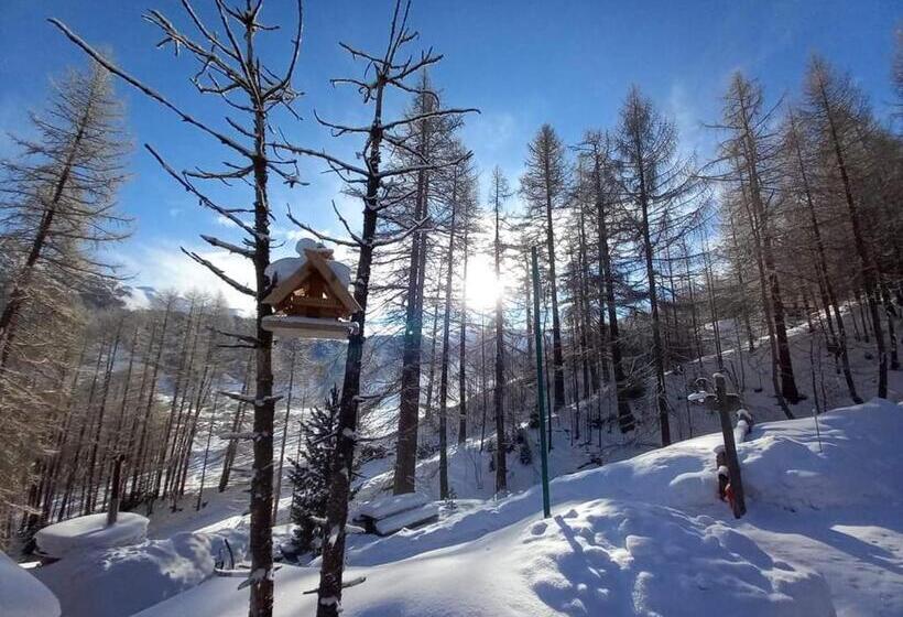 پانسیون Canton 520 Camera Matrimoniale E Appartamento Self Check In