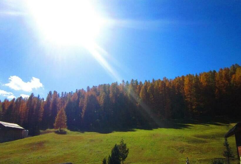 پانسیون Canton 520 Camera Matrimoniale E Appartamento Self Check In