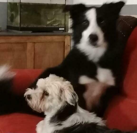 پانسیون Chez Jak Et Laurent