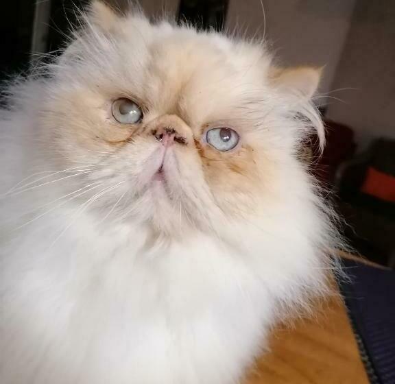 پانسیون Chez Jak Et Laurent