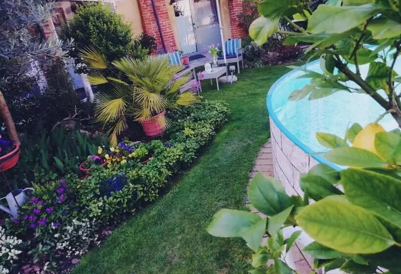 B&b San Valerio