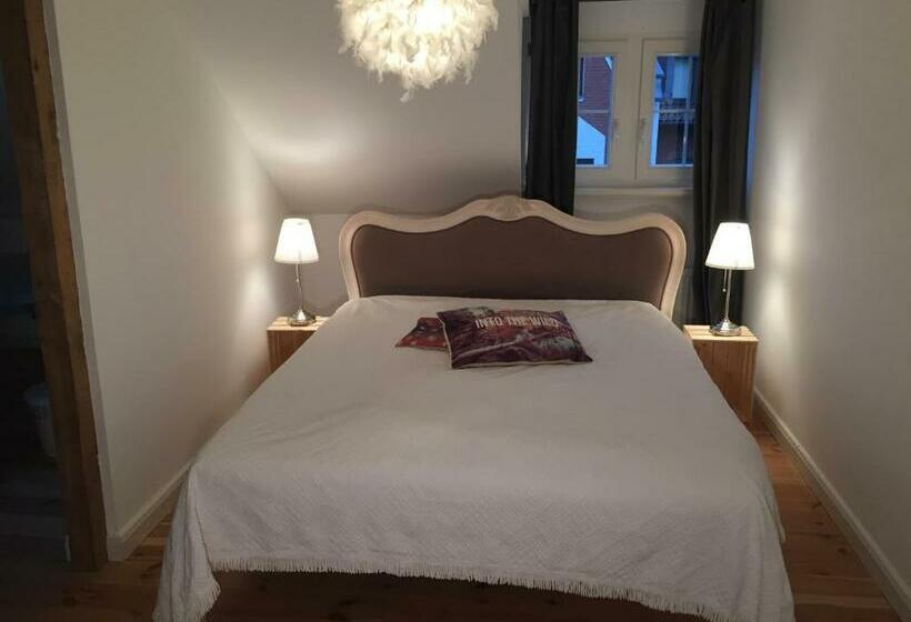 Bed and Breakfast Fabrikantenvilla