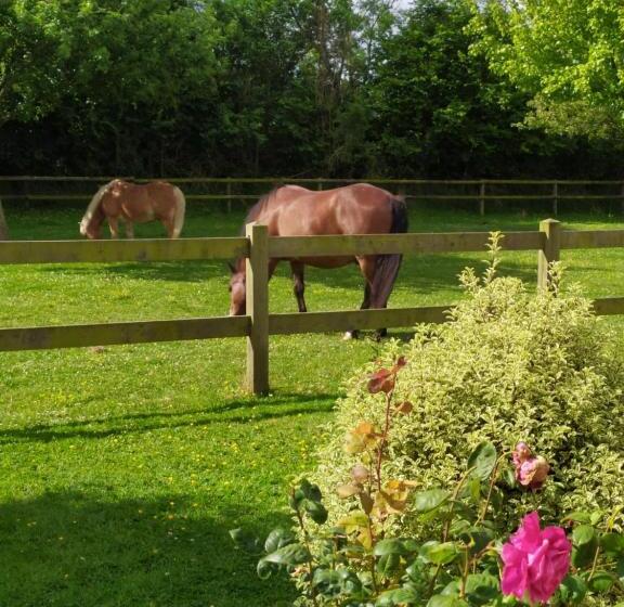 Bed and Breakfast Le Clos Marie