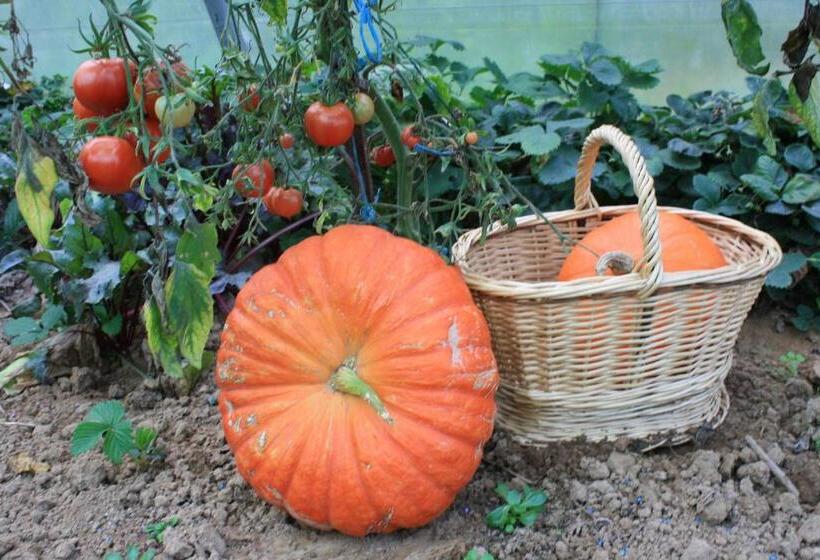 Bed and Breakfast Le Clos Marie