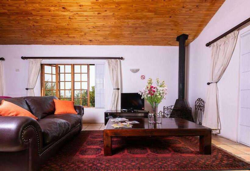 ベッドアンドブレックファースト Olive Tree Farm