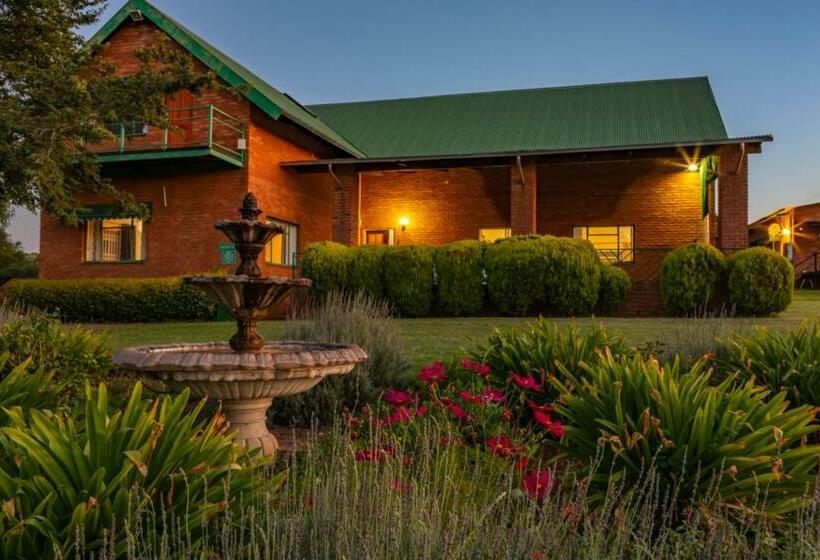 ベッドアンドブレックファースト Olive Tree Farm