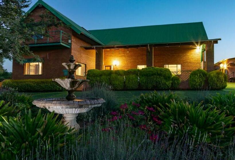 ベッドアンドブレックファースト Olive Tree Farm