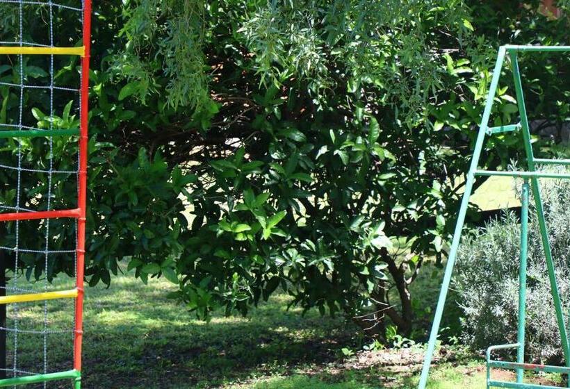 ベッドアンドブレックファースト Olive Tree Farm