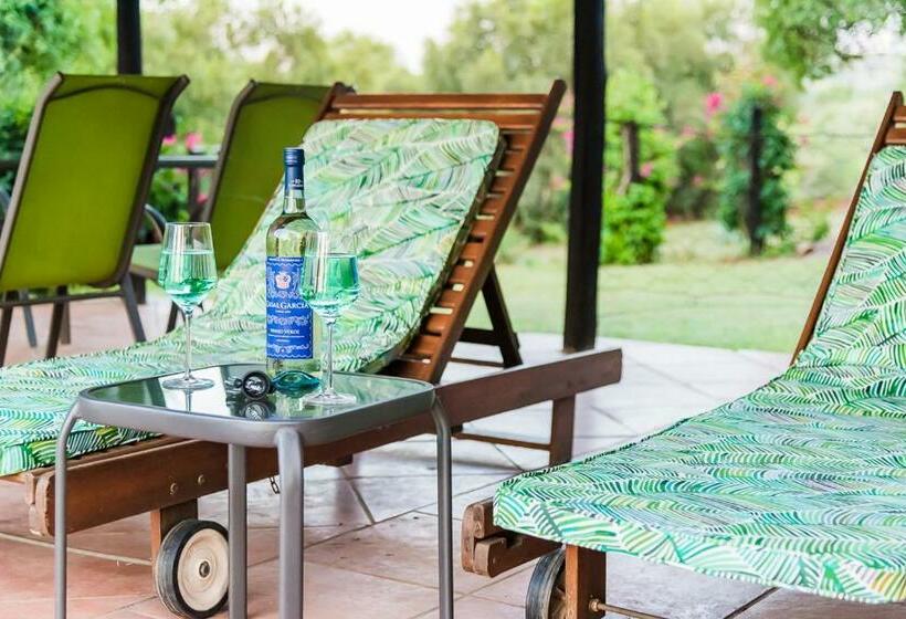 ベッドアンドブレックファースト Olive Tree Farm