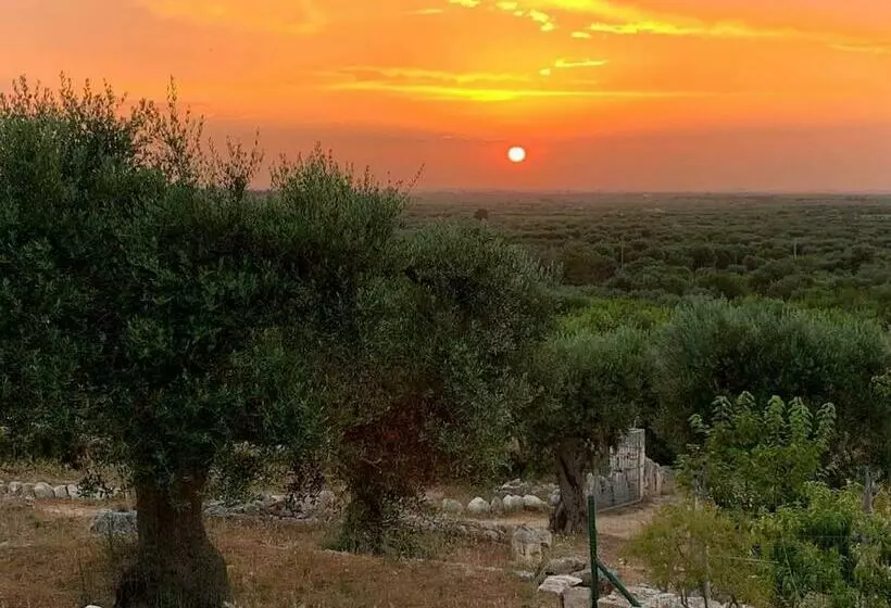 Hotelli B & B Monte Adamo