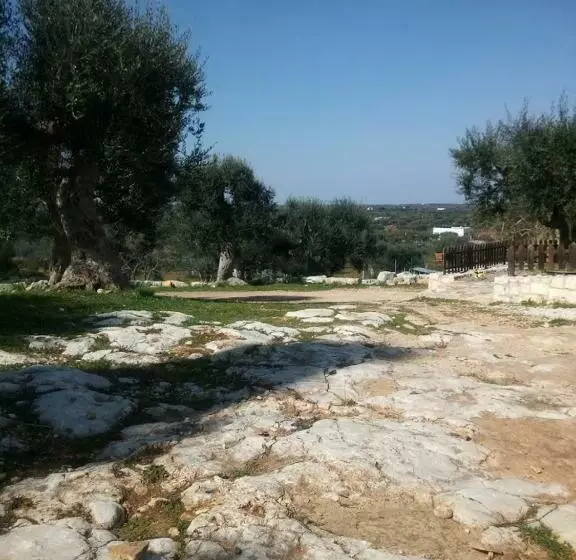 Hotelli B & B Monte Adamo