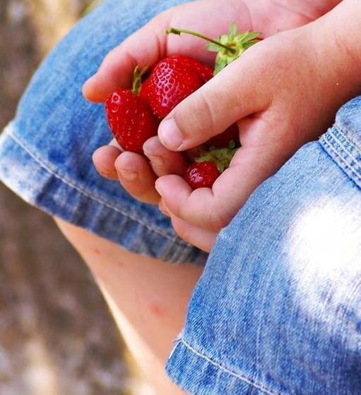 Hotel B & B Monte Adamo