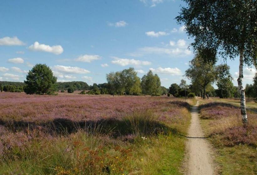 Пансион Barock Hengst Hof