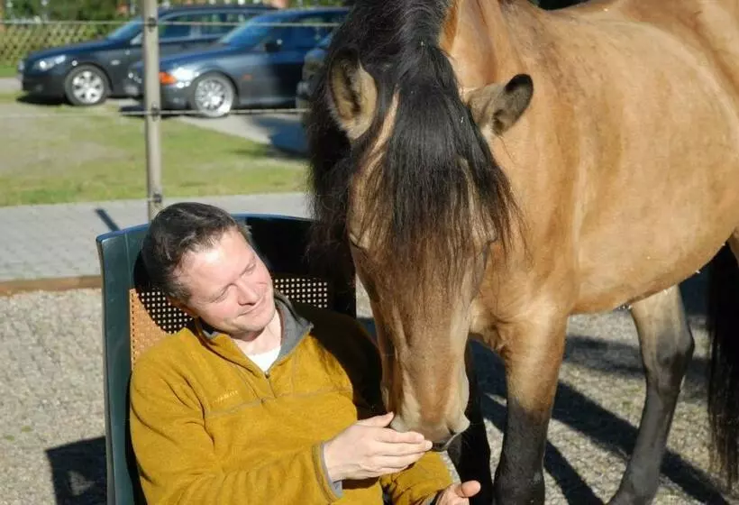 ペンション Barock Hengst Hof