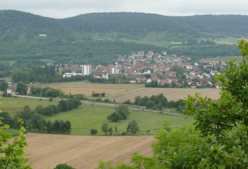 Apartments Weisser Reiter