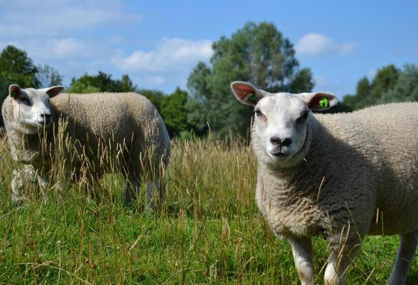 B&b Macbed Checkin Time 1700 1800 Or Request Before You Book