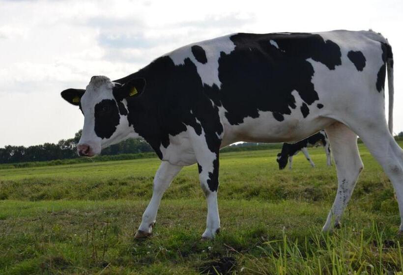 B&b Macbed Checkin Time 1700 1800 Or Request Before You Book