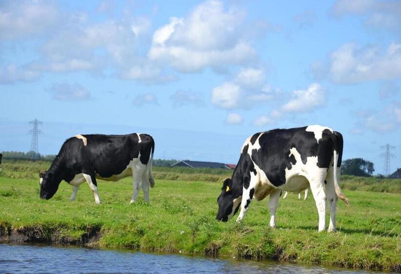 B&b Macbed Checkin Time 1700 1800 Or Request Before You Book