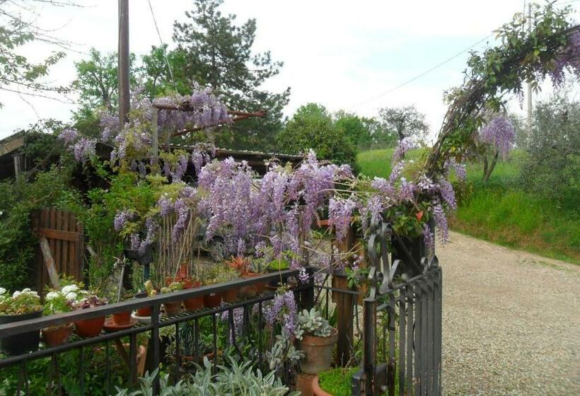 פנסיון Affittacamere Damammasara