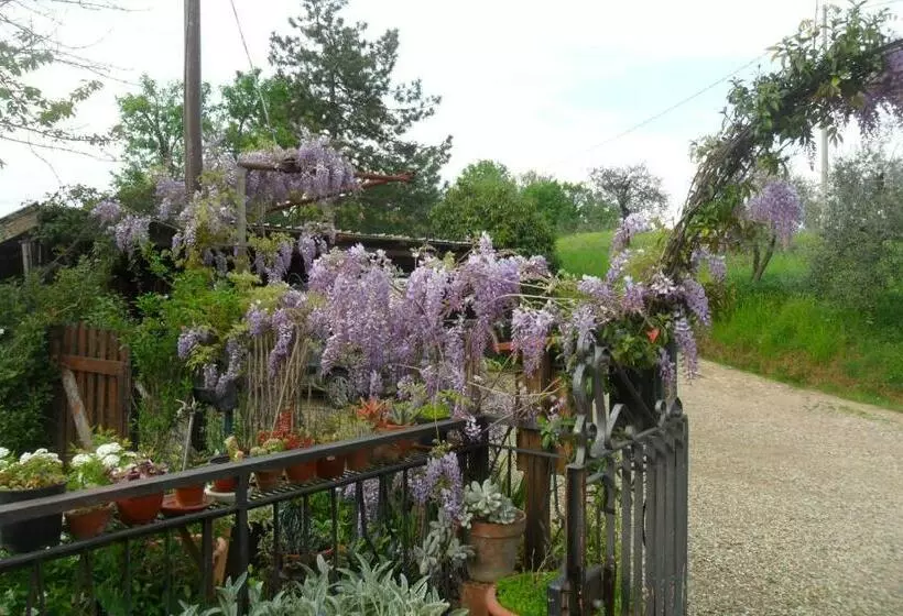 Majatalo Affittacamere Damammasara