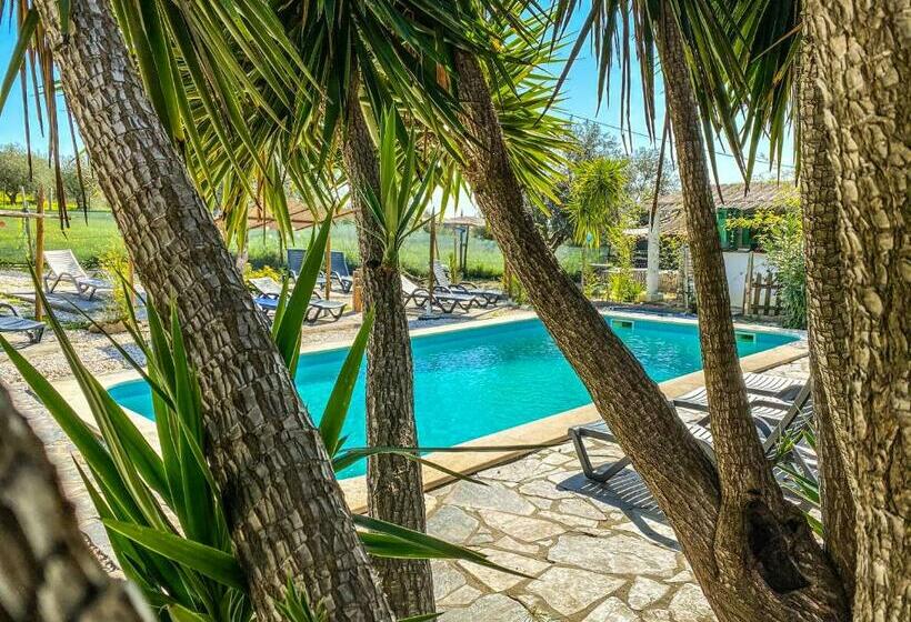 بنسيون Casa Rico Frade Garden