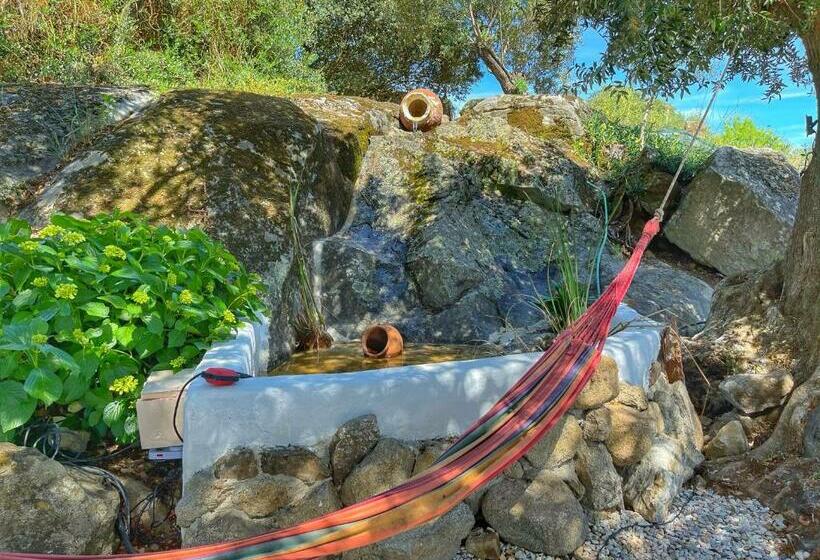 بنسيون Casa Rico Frade Garden