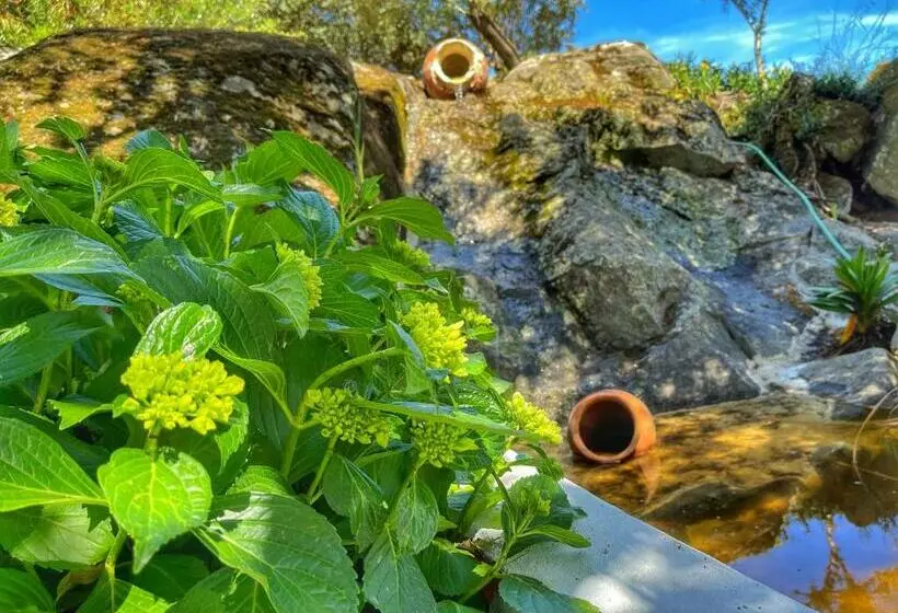 ペンション Casa Rico Frade Garden