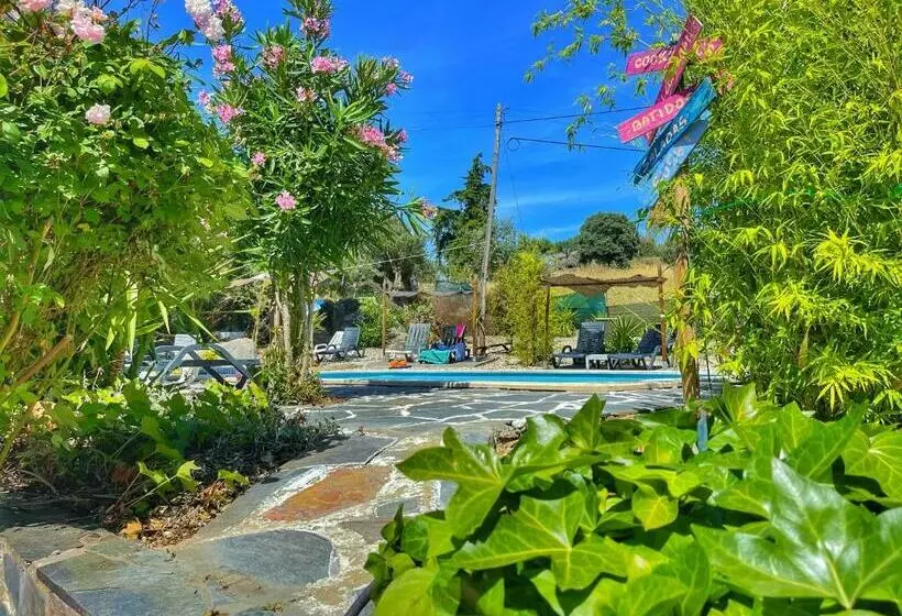 ペンション Casa Rico Frade Garden