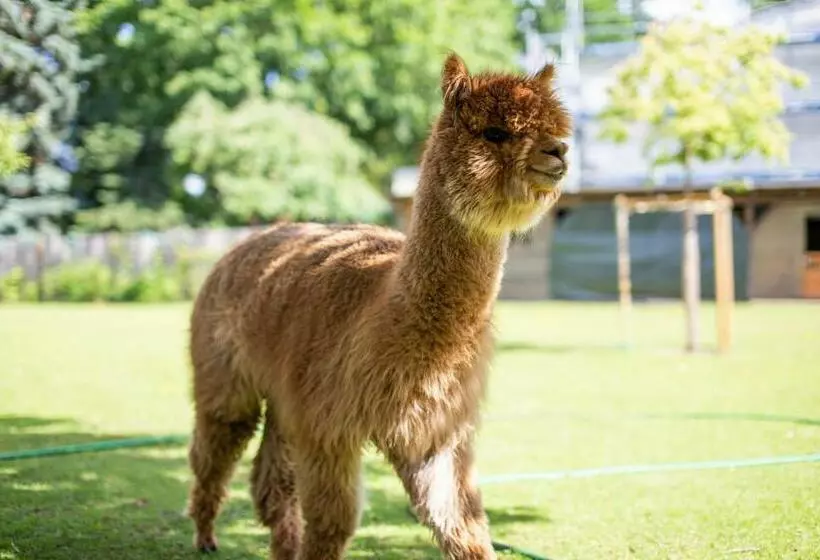 Majatalo Gästehaus Am Schloßpark