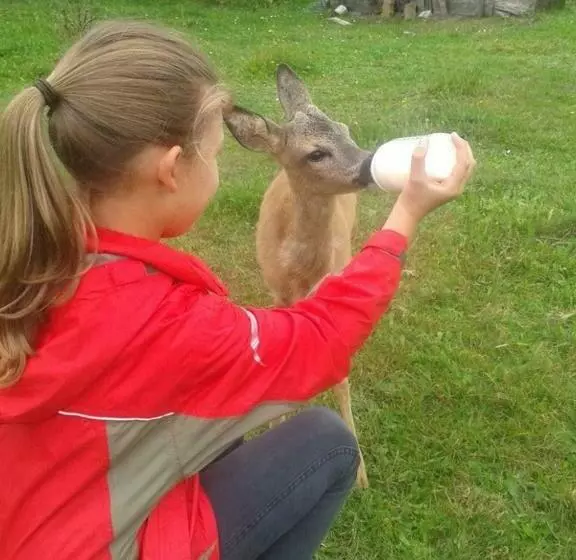 Majatalo Gästehaus Am Schloßpark