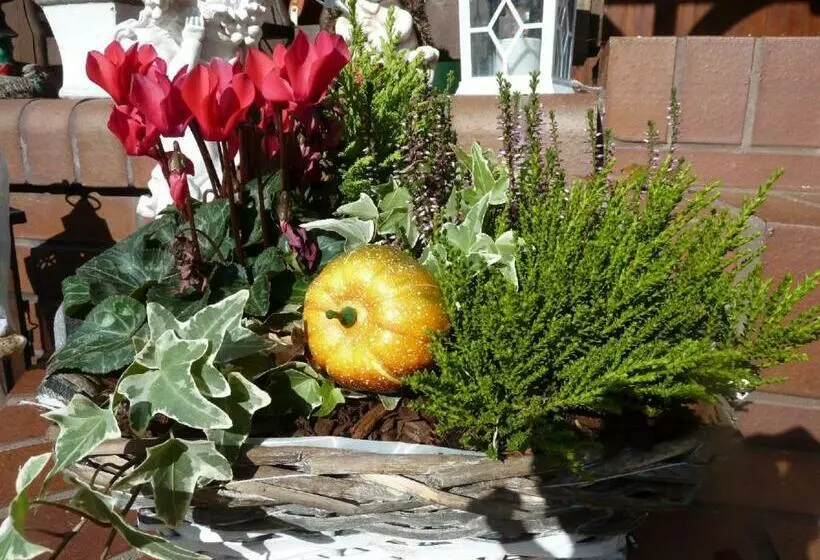 Majatalo Gästehaus Am Schloßpark