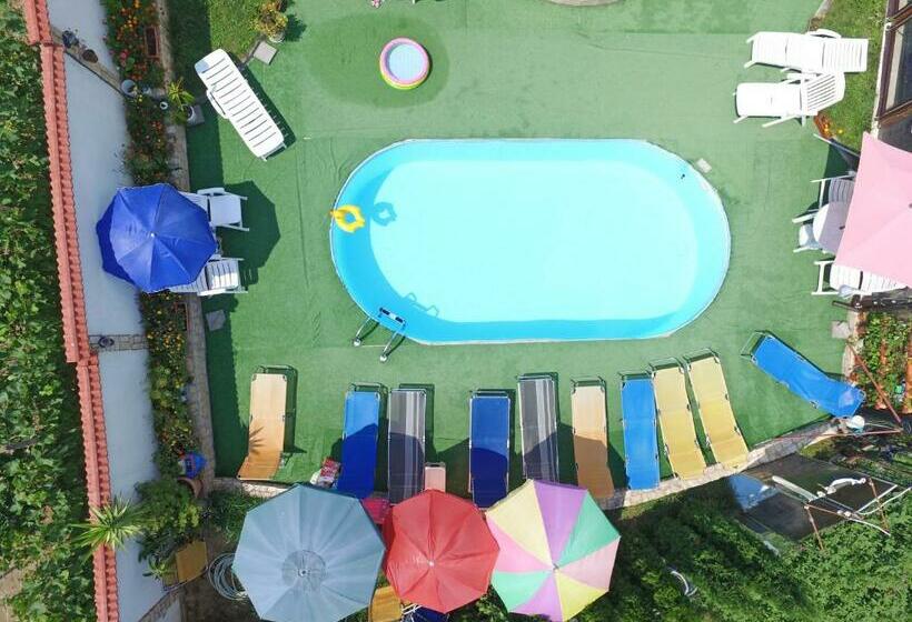 펜션 Guest House Camellia