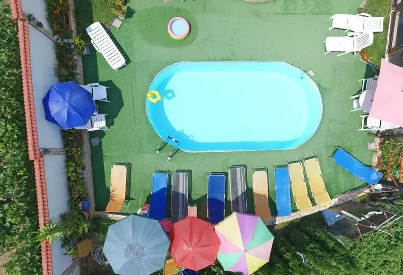 Majatalo Guest House Camellia