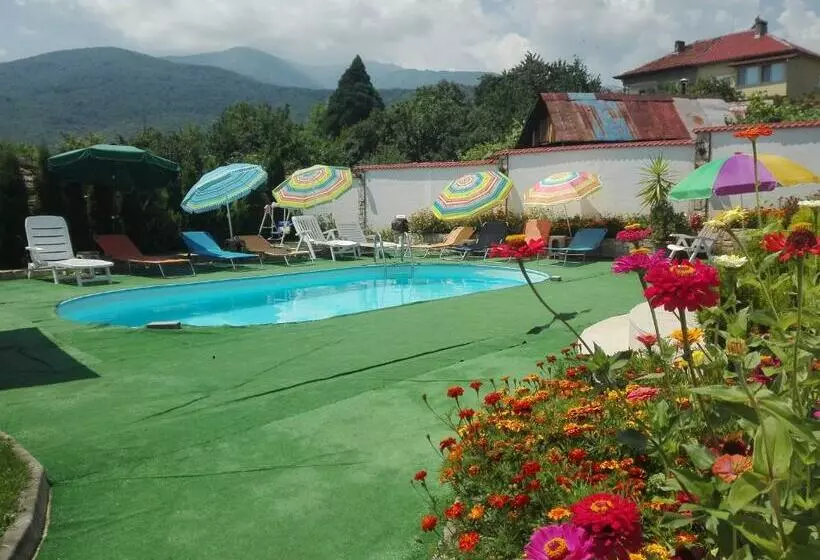 Majatalo Guest House Camellia