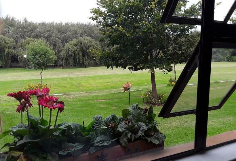 بنسيون Ibis Nest