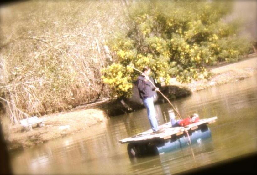 بنسيون Ibis Nest