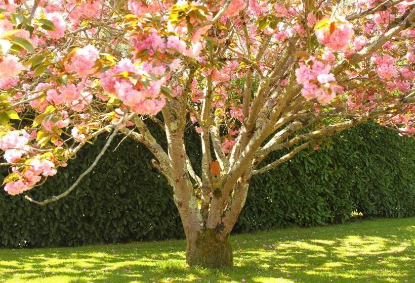 Пансион Le Mas Des Cerisiers Le Temple Sur Lot