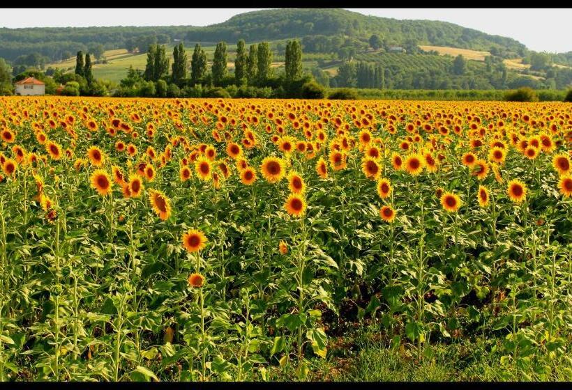 Пансион Le Mas Des Cerisiers Le Temple Sur Lot